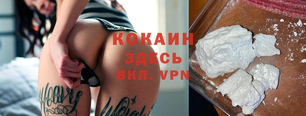 соль ск Абаза