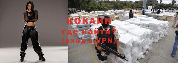 соль ск Абаза