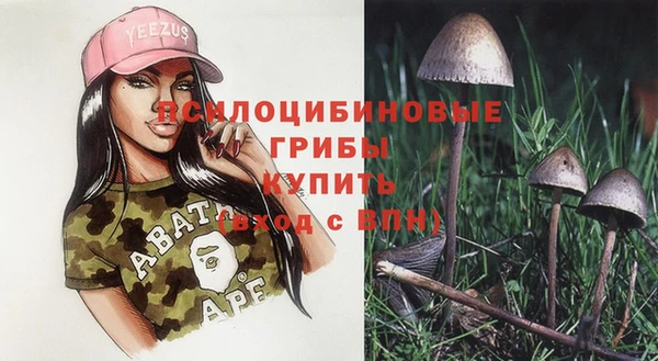 гидропоника Абдулино